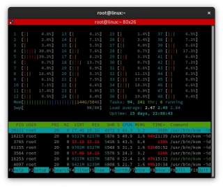 Htop auf einem Hypervisor